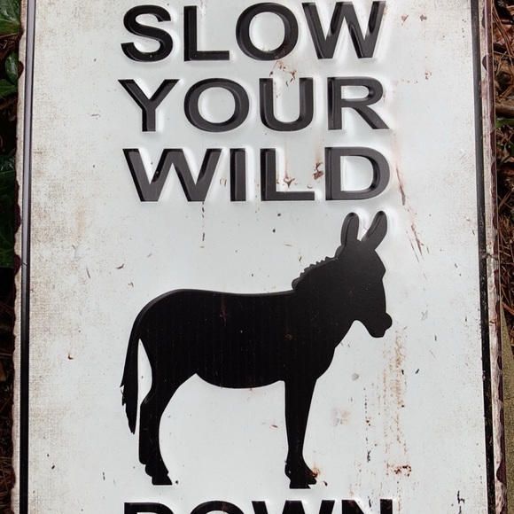 Humorous Donkey Sign - Picture 3 of 4